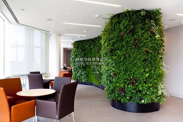 辦公室裝修完以后擺放什么綠植好？